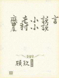 恋老小说言情网农村小说