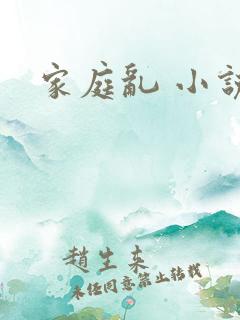 家庭乱 小说