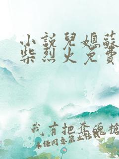 小说儿媳苏玥干柴烈火免费阅读