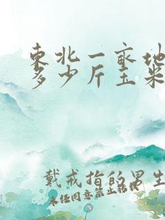 东北一亩地能产多少斤玉米