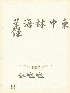 叶海林中东风云录