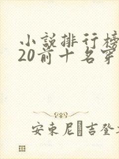 小说排行榜2020前十名穿越