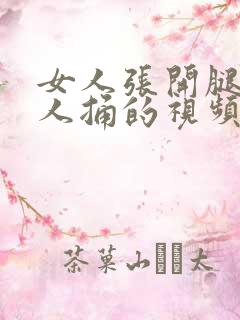 女人张开腿让男人捅的视频