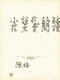 小说我的贴身校花免费阅读全文无窗口