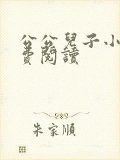 公公儿子小说免费阅读