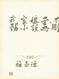 我家娘子,不对劲小说无删减