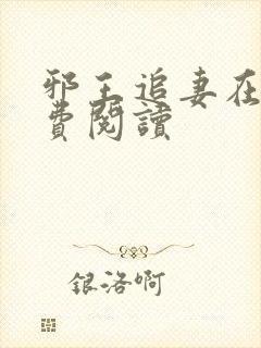 邪王追妻在线免费阅读