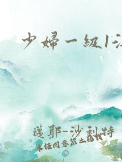 少妇一级1淫片