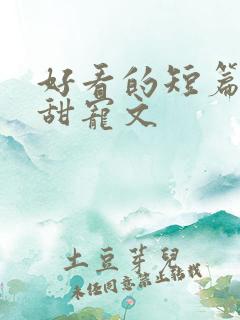 好看的短篇小说甜宠文