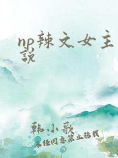 np辣文女主小说