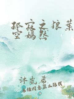 孤寂之狼叶凡司空嫣然