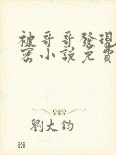 被哥哥发现的秘密小说免费阅读全文