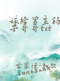 嫁给男主的病秧子哥哥txt