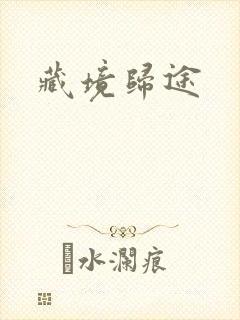 藏境归途