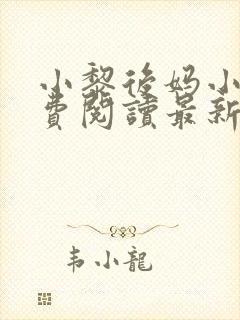小黎后妈小说免费阅读最新章节更新