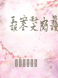 王安赶山最新小说全文阅读