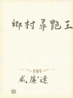 乡村寻艳王小说