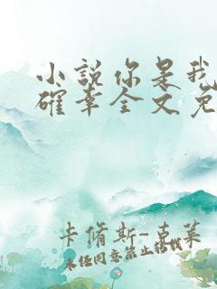 小说你是我的小确幸全文免费阅读