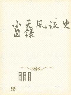 小天风流史全文目录