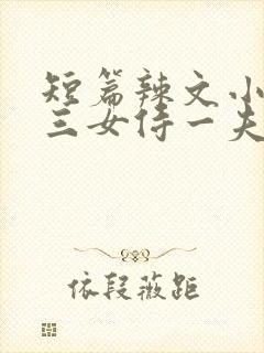 短篇辣文小说集三女侍一夫在线阅读