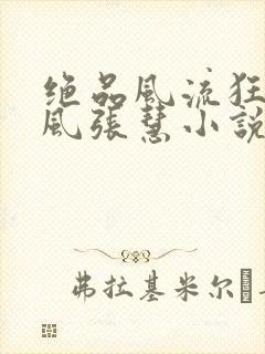 绝品风流狂医林风张慧小说