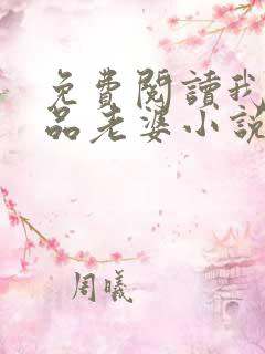 免费阅读我的极品老婆小说