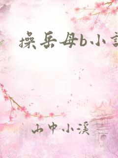 操岳母b小说