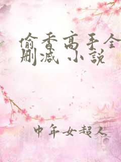偷香高手全文无删减 小说