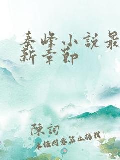 秦峰小说最新更新章节