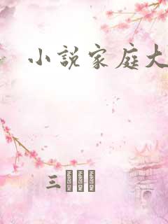 小说家庭大杂烩