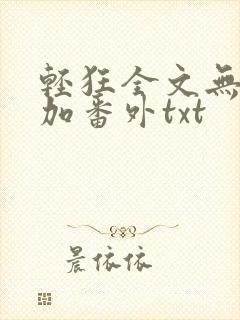 轻狂全文无删减加番外txt