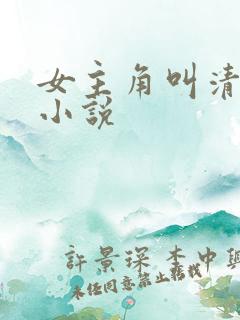 女主角叫清瑶的小说