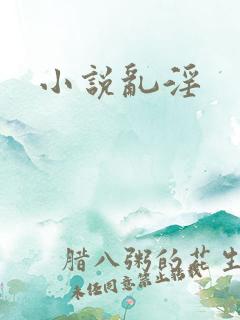 小说乱淫