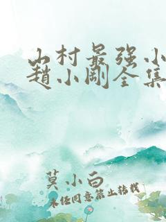 山村最强小农民赵小刚全集免费