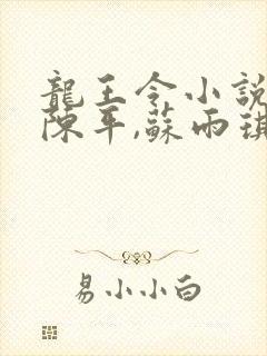 龙王令小说主角陈平,苏雨琪