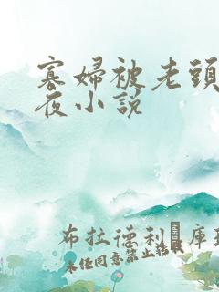 寡妇被老头添一夜小说