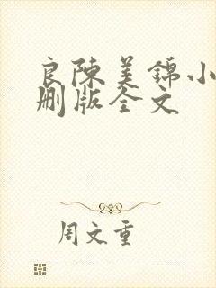 良陈美锦小说未删版全文