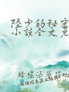 陆少的秘密恋人小说全文免费阅读