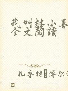 我叫林小喜小说全文阅读
