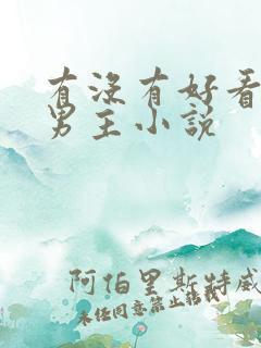 有没有好看的双男主小说
