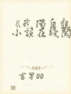《我独自观测》小说在线阅读