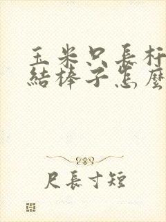 玉米只长杆子不结棒子怎么办