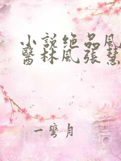 小说绝品风流狂医林风张慧完本