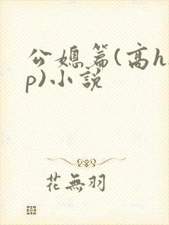 公媳篇(高hnp)小说