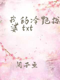 我的冷艳总裁老婆 txt