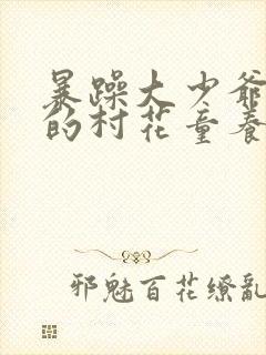 暴躁大少爷和他的村花童养媳小说