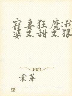 宠妻狂魔:我老婆又甜又狠