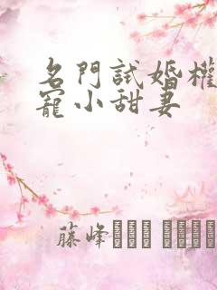 名门试婚权少独宠小甜妻