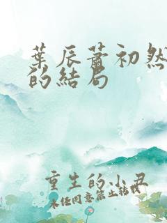 叶辰萧初然最后的结局