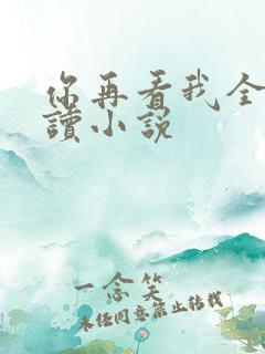 你再看我全文阅读小说